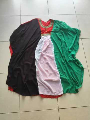 UAE National Day Dress for girls