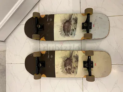 Skateboard Globe Cruiser Armadillo Semi Used