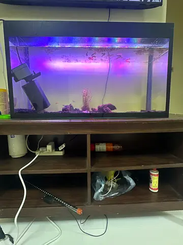 Beautiful Aquatic Aquarium Setup