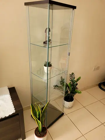 Sleek Glass Display Cabinet