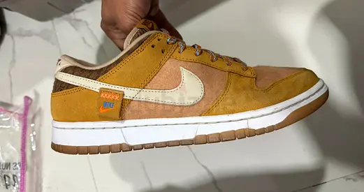 Nike Dunk Limited Edition