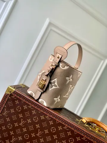 LV women side bag