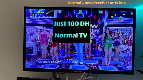 For Sale: Normal TV - Affordable Price!