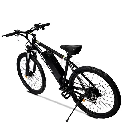 Electric Mountain Bike for Sale