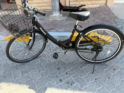 Cycle