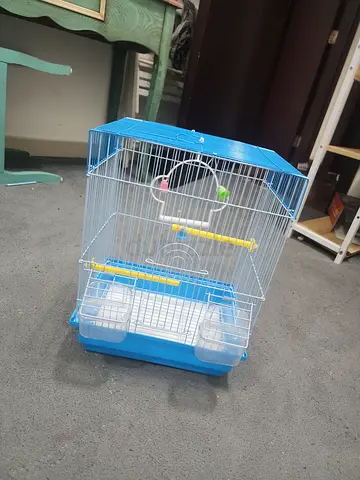 BIRD CAGE