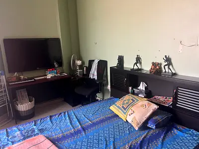 Bur Dubai ,Pure Vegetarian , Single Executive Bachelor Master Bed Room, fully Furnished  with Balco.