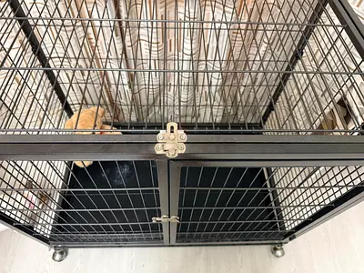 Sturdy Metal Pet Cage for Sale