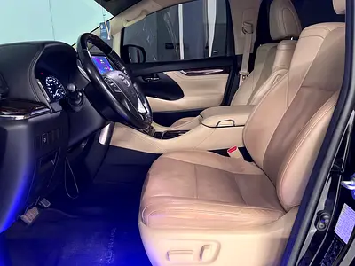 2019 Toyota ALPHARD 照片 15