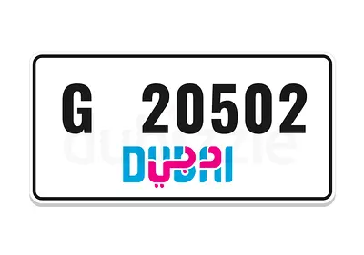 G 20502