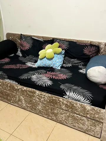 Stylish Sofa Bed
