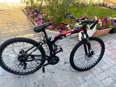 Cruiser bike for sale