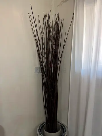 Twigs Elegant Decorative Sticks