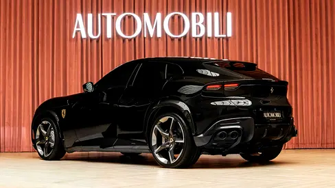2024 Ferrari PUROSANGUE 缩略图 9
