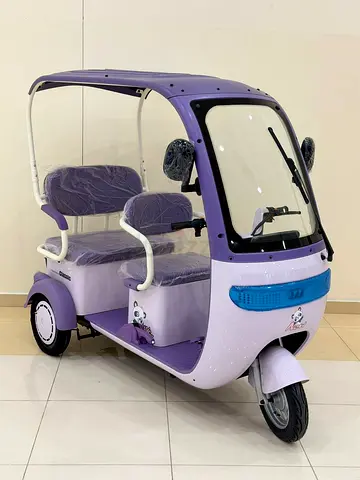 Beand New electric tok tok