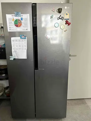 LG Latest model side by side Refrigerator inverter