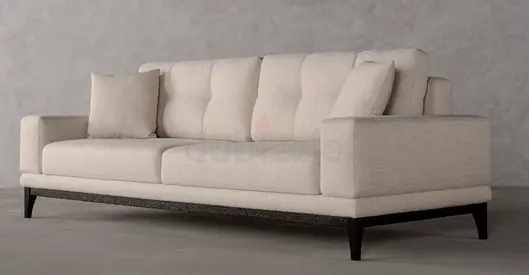 Elegant and Comfortable Sofa Bed