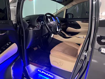 2019 Toyota ALPHARD 照片 8