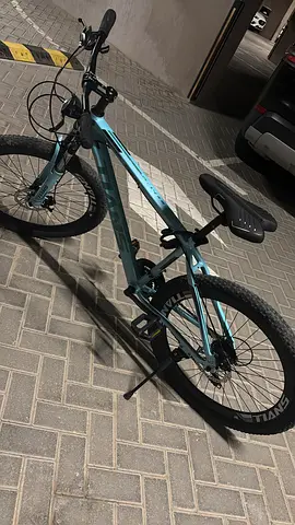Titan Mountain Bike for Sale