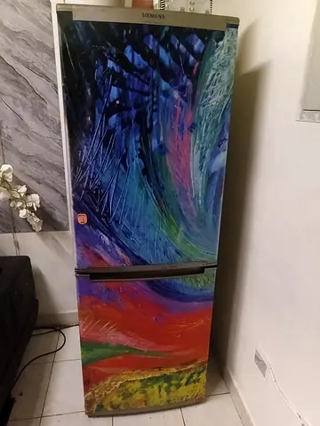 Siemens Unique Colorful Siemens Refrigerator for Sale