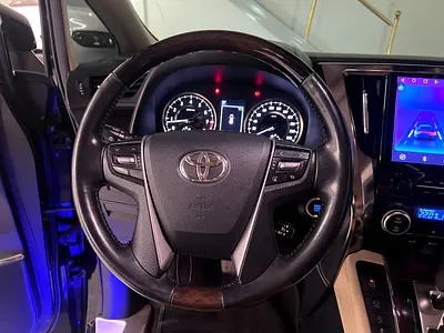 2019 Toyota ALPHARD 照片 12