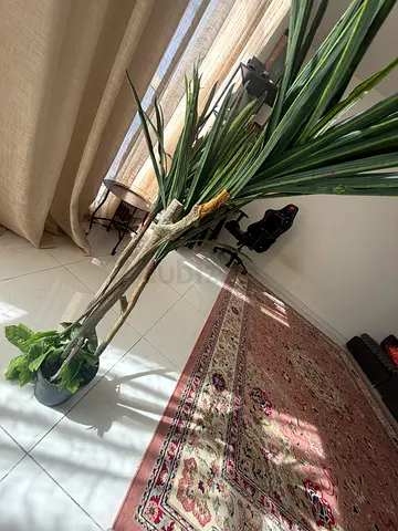 I want to sell this fake tree for model or for your house to be cozy