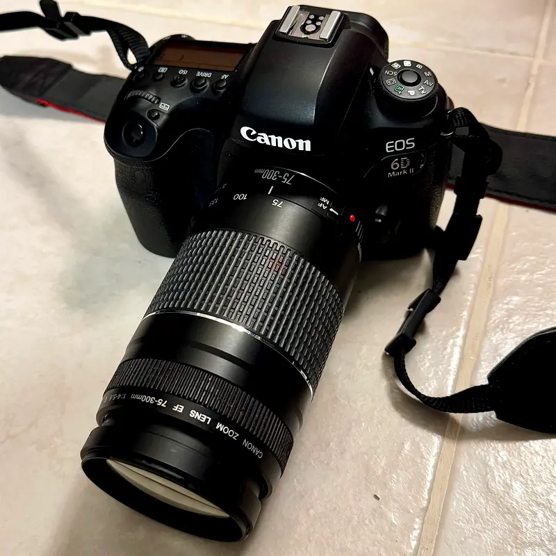 Canon 6D Mark II + EF 75-300mm Lens | dubizzle Dubai
