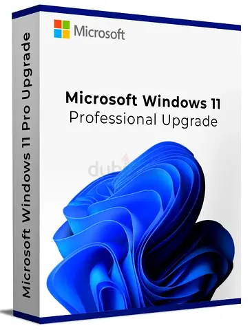 Windows 11 Professional Upgrade