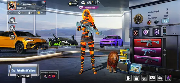 Gaming Account with Exclusive Skins and Accessories