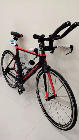Silverback Triathlon Bike (TT)