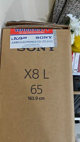 Damaged LED Screen Sony Bravia X8L 65-inch TV