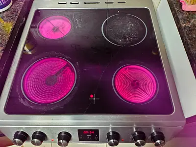 Electric oven