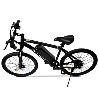 Electric Mountain Bike for Sale