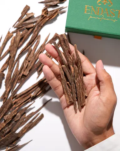 Premium Agarwood Pieces for Collectors ( Indian Salla) 1 tola(12gram)