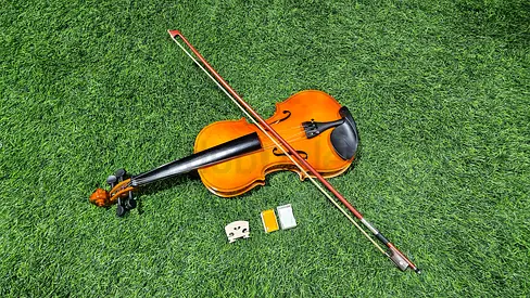 Violin 4/4 Full Set