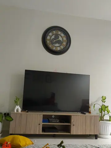 Modern TV Stand with Storage