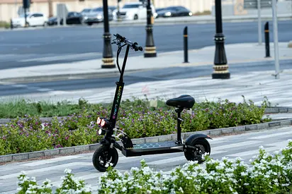 Electric Scooter for Sale