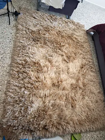 Soft Textured Area Rug