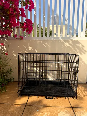 Dogs cats cage