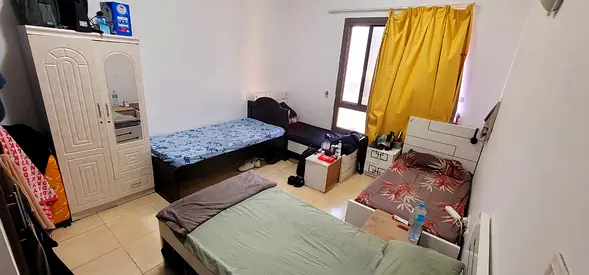 Premium Bed Space Living in Barsha Heights