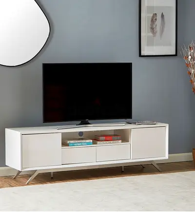 Modern TV Stand with Storage