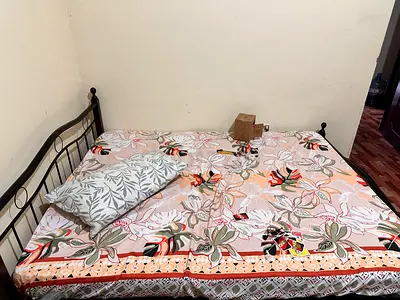 Metal Bed Frame with mattress