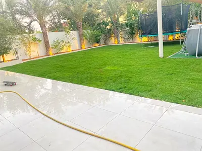 Beautiful Green Lawn with Trampoline and Pool