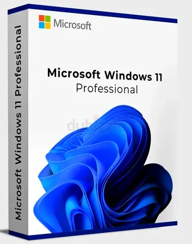 Windows 11 Professional