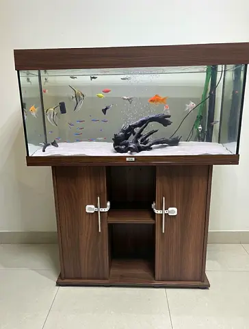 Jewel Fish tank