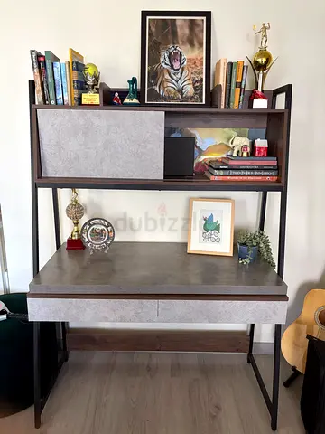 Stylish Modern Study / Display cabinet