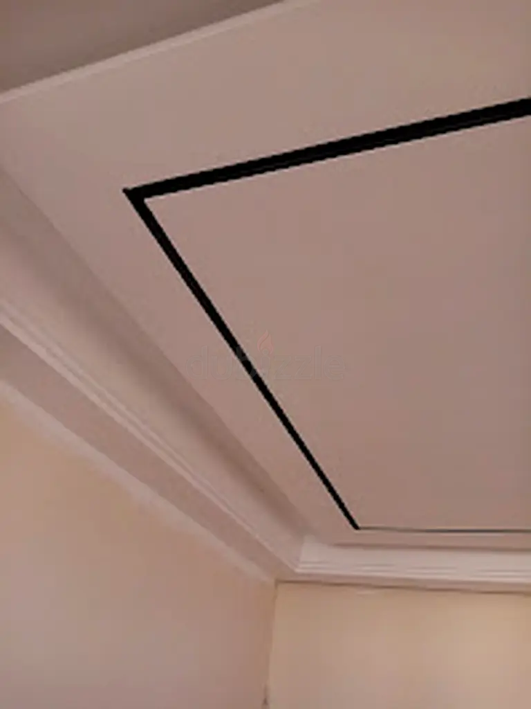 DPV_View_Image_0