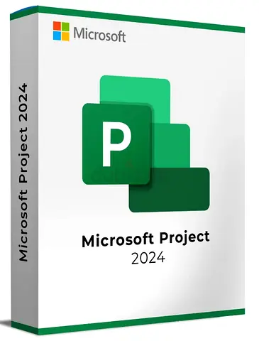 Project 2024 / 2021 Professional