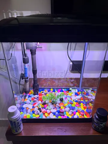 Fish tank and accessories in excellent condition