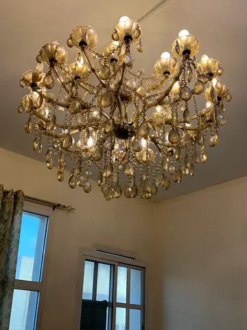 Chandelier for Sale